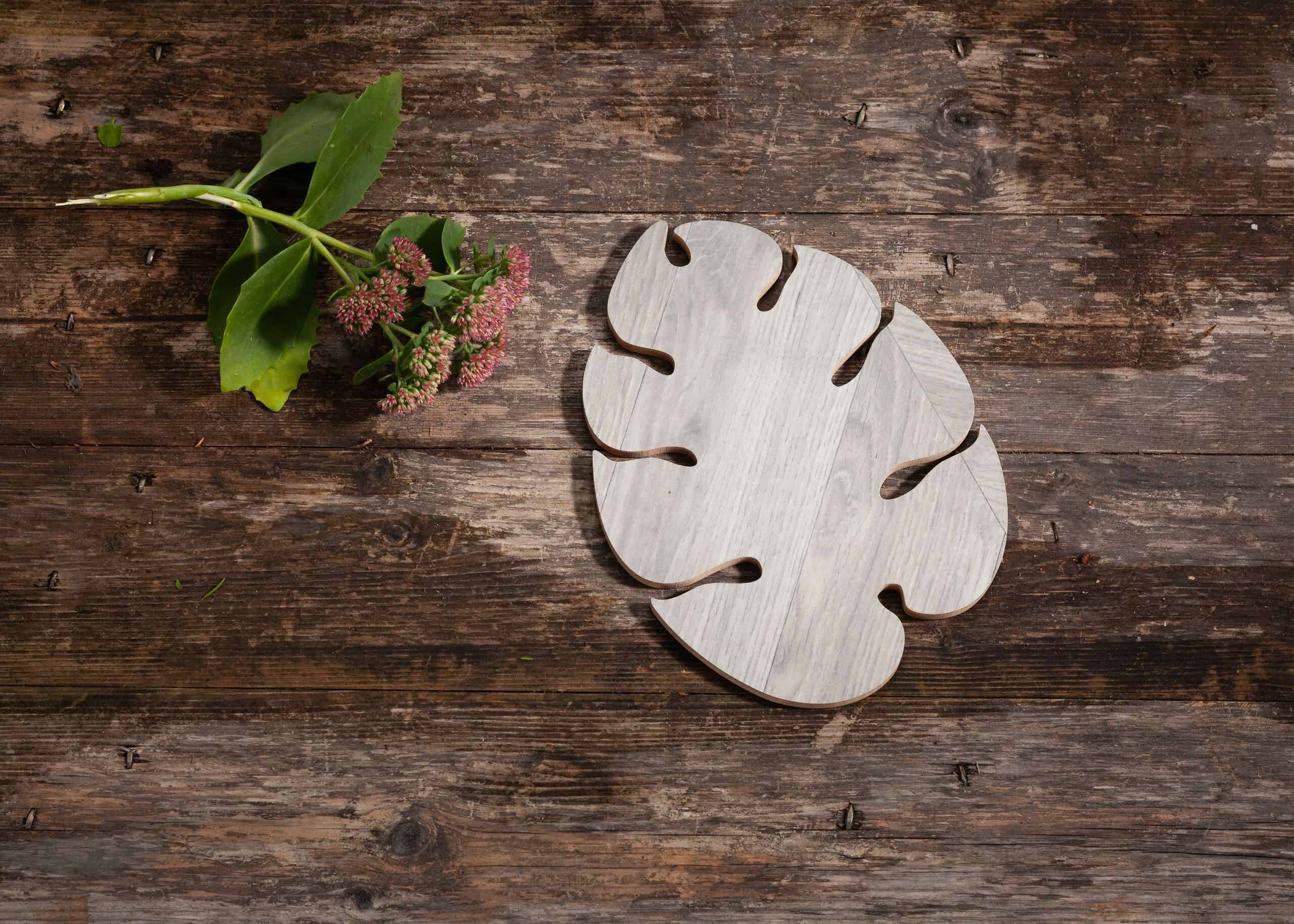 Jungle kattausalusta